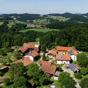Thumbnail Image 1